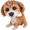 Little Paws 3073 Molly Cavachon Figurine