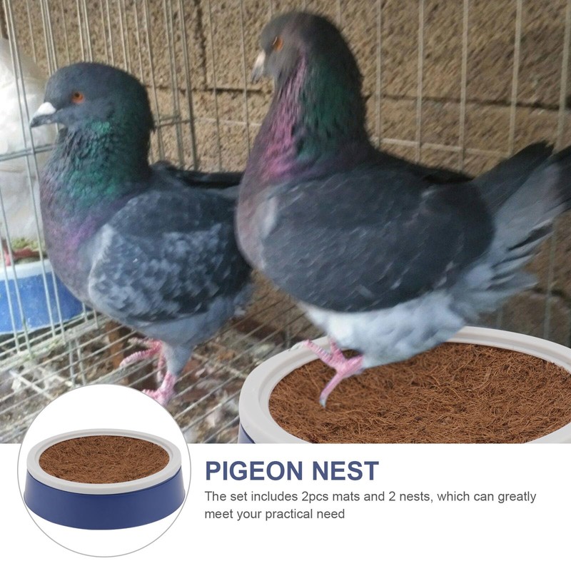 DOITOOL 2 Set Pigeon Egg Nest Pigeon Bird Egg Coconut