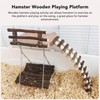 Wooden Hamster Playground Platform Hamster Climbing Toys Wooden Hamster Playing