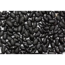 Organic Black Turtle Beans | Heirloom | NON-GMO | USA GROWN | Frijoles Tortuga | Bulk (15 Pounds)
