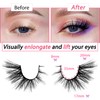 3D False Eyelashes, Cat's Eye, Natural Artificial Eyelash Extensions Set,