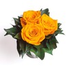 ROSEMARIE SCHULZ Heidelberg Infinity Flower in Silver Cup 3 Preserved