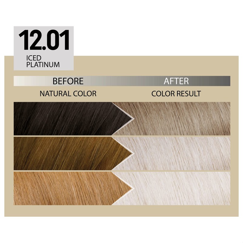 Alfaparf Milano Il Salone Plex Rebuilder Color Kit 12.01 Ice