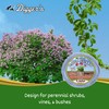 RootGuardTM Digger’s 5-Gallon Root Guard Speed Baskets for Plants, Control