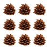 GSHLLO 30 Pcs Natural Pine Cones Rustic Christmas Pinecones Winter