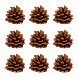 GSHLLO 30 Pcs Natural Pine Cones Rustic Christmas Pinecones Winter Pinecone Ornaments Vase Filler Pinecones Holiday Decorations Pinecones for DIY Crafts 5-6cm