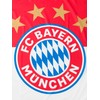 FC Bayern Munich Logo Hissfahne 180 x 120 CM