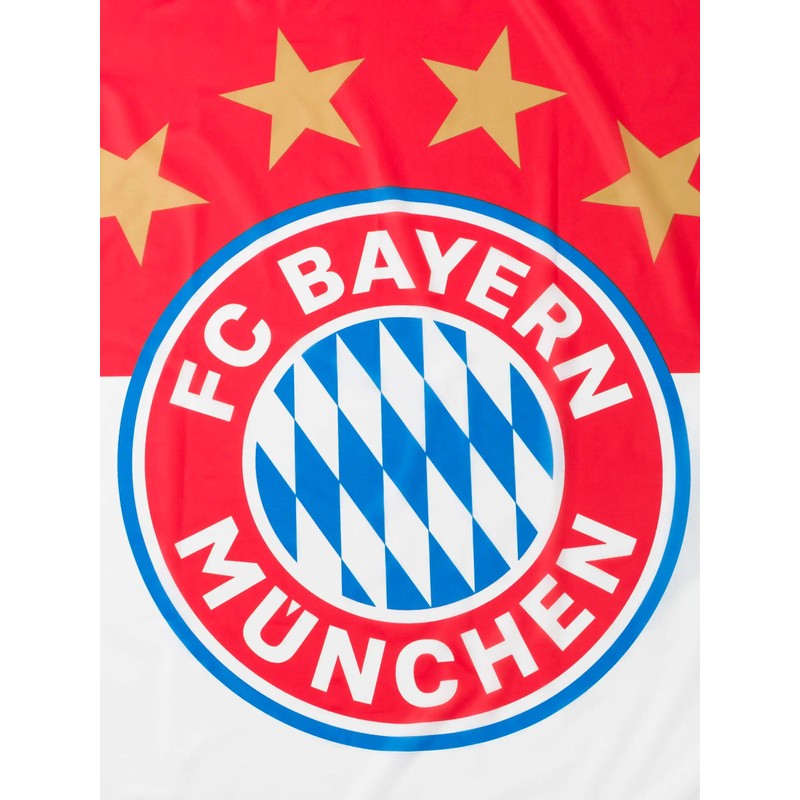FC Bayern Munich Logo Hissfahne 180 x 120 CM