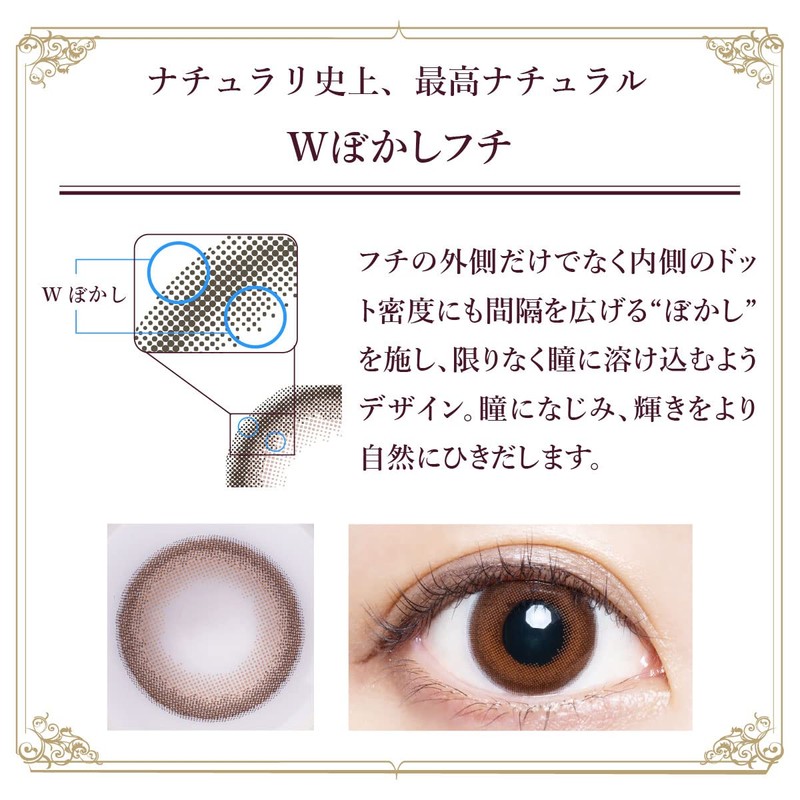 カラコン ナチュラリ1day UV高含水 ミスティブラウン 10枚入【DIA】14.1 【PWR】-1.25