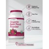 Horbäach Organic Beet Root Powder | 3lb Bulk Supplement |