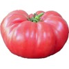 UtopiaSeeds Brandywine Pink Heirloom Tomato Seeds - Large Delicious Tomato
