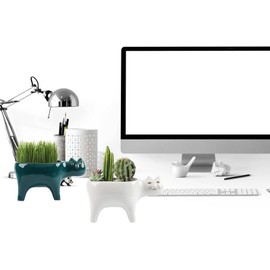 QUINTRA Cat Planter, Animal Succulent Pots, Ceramic Cat Mini Flower Pots, Cacti/Plants, Container for Home, Office, Desk, Windowsill Decoration, Plants Not (Green, One Size)