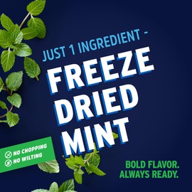 Litehouse Freeze Dried Mint - Substitute for Fresh Mint Leaves, Gluten Free, Vegetarian, Keto, Non-GMO, No Refrigeration Required, Seasonings for Cooking - 0.28 Oz