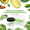 Clay Mask Avocado Dead sea Mud Stick Mask Natural Organic