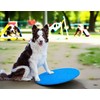 Dog Agility Equipment Wobble Board 24" | Blue