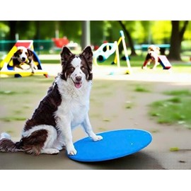 Dog Agility Equipment Wobble Board 24" | Blue