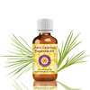 Deve Herbes Pure Calamus Essential Oil (Acorus Calamus) Steam Distilled