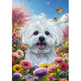 Maltese - Best of Breed Spring Butterfly Outdoor Garden Flag 12" x 17" Mailbox Flag Dog Flag