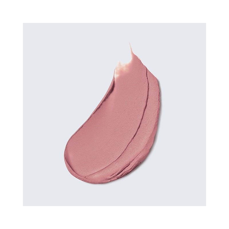 ESTEE LAUDER Pure Color MATTE Lipstick 868 INFLUENTIAL