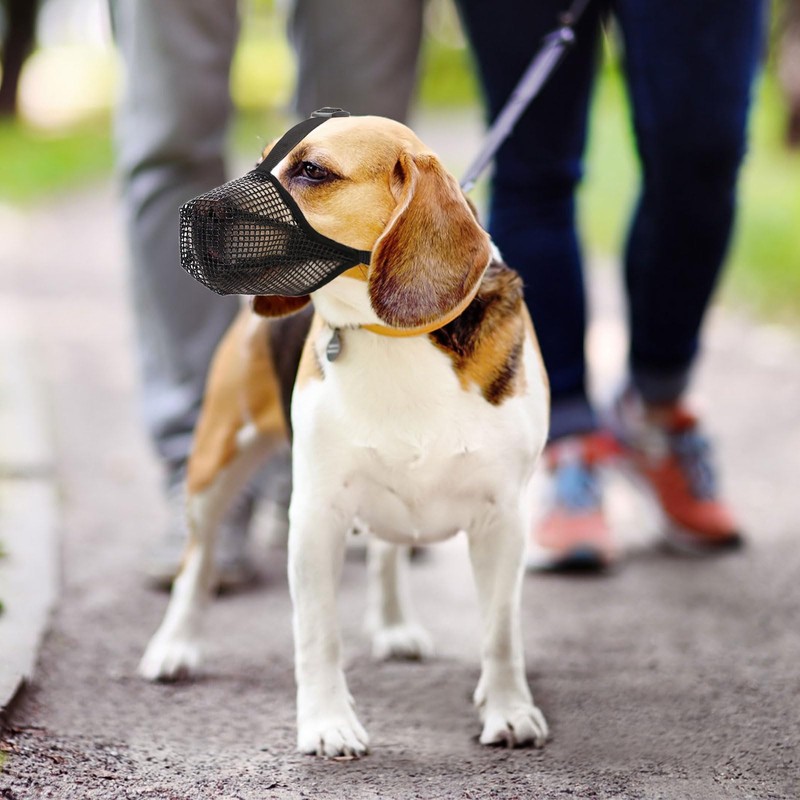 Muzzle Breathable Adjustable High Strength Polyester Fibre, 4-Way Adjustment, Muzzle