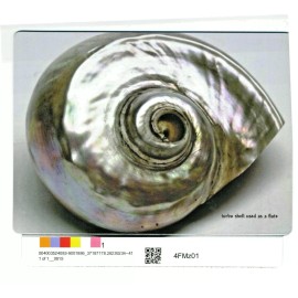 kb-limitededs fine art magnets 4x5.5 inch_limited edition-shippi