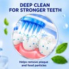 Oral-B Tooth and Gum Care Toothpaste Fresh Mint (Buy 2