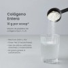 Colágeno Hidrolizado Entera Pharma Sabor Polvo Porciones
