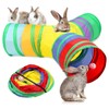 Hileyu Rabbit Bunny Tunnels Toy Collapsible 3 Way Tubes with