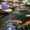 Biling Solar Pond Aerator for Small Pond, 3 Modes, 2200
