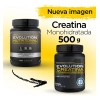 Suplemento Evolution Nutraceutical Creatina monohidratada de 500g - polvo