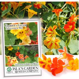 Glorious Gleam Mix Nasturtium Flower Seeds for Planting, 50+ Seeds Per Packet, (Isla's Garden Seeds), Non GMO & Heirloom Seeds, Scientific Name: Tropaeolum majus, Great for Hanging Flower Baskets