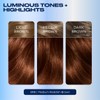 Clairol Nice'n Easy Permanent Hair Dye, 5RB Medium Reddish Brown