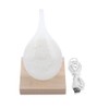 Storm Glass Drop shaped Storm Bottle Desktop Weather Station Predictor