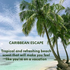 Buyitshipit - Caribbean Escape Fragrance from Our Beach Collection - Perfect for Adding Aroma to Freshies, Candles, Soaps, and Diffusers - 8 Ounces