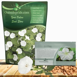 Outsidepride Ipomoea Alba Moonflower Seeds – 1 lb. Annual, Vining Flower Seeds for Planting, Fragrant Night-Blooming Climbers for Trellises, Moon Gardens, Night Pollinators & Outdoor Landscapes