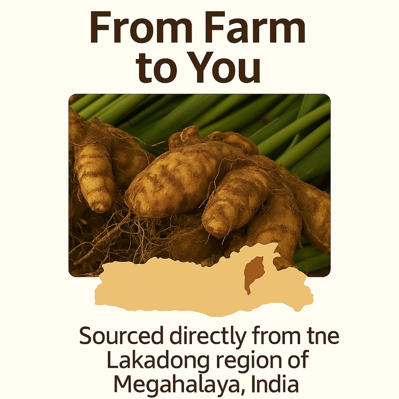 Go-Yogik Lakadong Turmeric Powder-5.3oz, High Curcumin -Lab Tested | Superfood