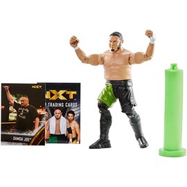 NXT Takeover WWE Samoa Joe Action Figure