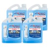 Wet & Forget Outdoor Moss, Mold, Mildew, & Algae Stain