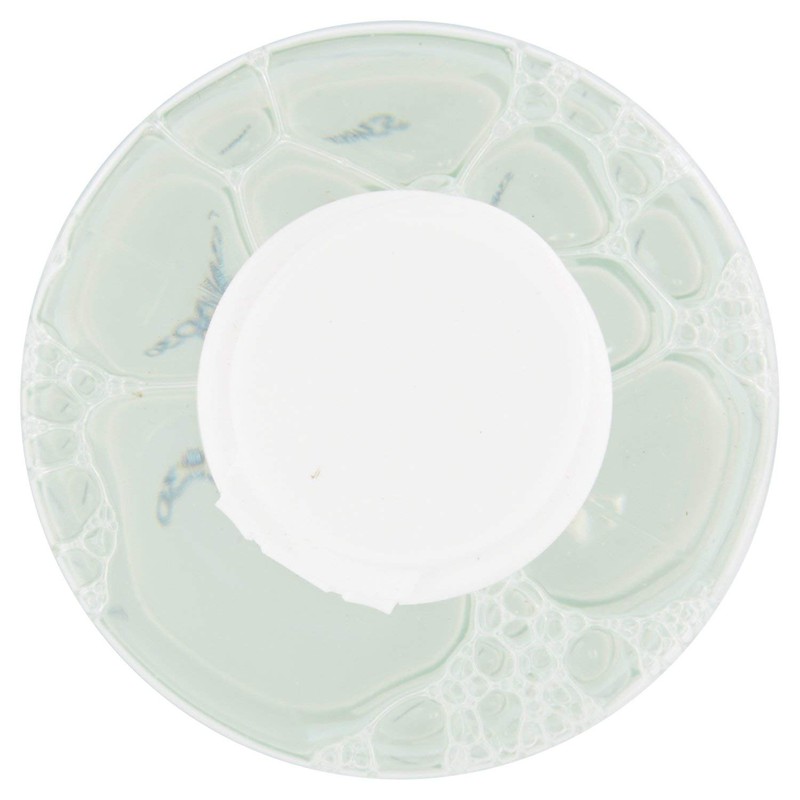 Clinians Hydra Plus Active Micelles Water with Green and Magnolia