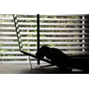 ONED Majextand Ergonomic Stand (Color: Space Gray) MJX200/GRY Gray