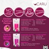 CARU Daily Dish Smoothies Chicken & Salmon Recipe Lickable Treat