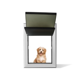 TIMOSS Durable Aluminum Dog Door, Weatherproof Dog Door with Sliding Locking Panels, Retractable Tunnel for Medium Dogs, Double Curtain Magnetic Dog Door