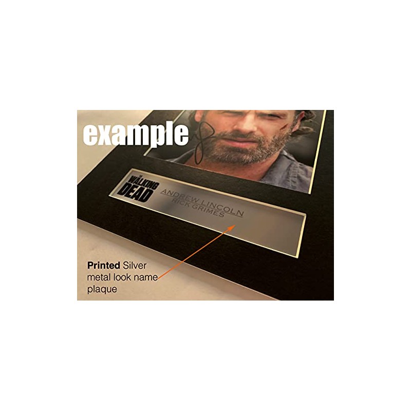 Eminem Signed Mounted Photo Display