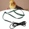 Bird Harness Leash Adjustable Elastic Flying Training Parrot Traction Rope