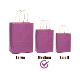 Gcardist Medium 16 Pieces Kraft Bags with Handles 27 x 21 x 11 cm Gift Bags Purple Senior Colour Bags Multiple Use (Medium Size, 7.6 x 4.75 x 10.5 inches)
