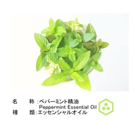 NOTO Peppermint Essential Oil, 0.2 fl oz (5 ml) Essential Oil, American Made PEPPERMINT OIL Aroma Gift (Peppermint Essential Oil 5ml)