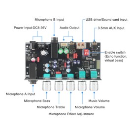 Wuzhi Audio ZK-Dam H1 with Wide Voltage Input (DC 8-36V) Dual Mic Inputs, Dynamic Anti-Feedback, TWS Pairing,USB/AUX/Bluetooth Input