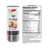 CELSIUS Sparkling Mango Passionfruit, Functional Essential Energy Drink, 12 Fl