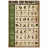 Flyhaw Medicinal Herbs and Their Uses Posters Metal Signs Wall