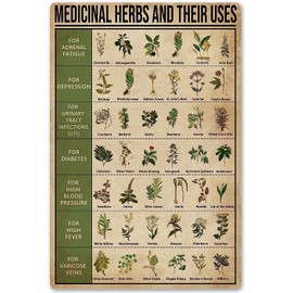 Flyhaw Medicinal Herbs and Their Uses Posters Metal Signs Wall Decor Room Decor Metal Signs Wall Decor 8x12 Inches